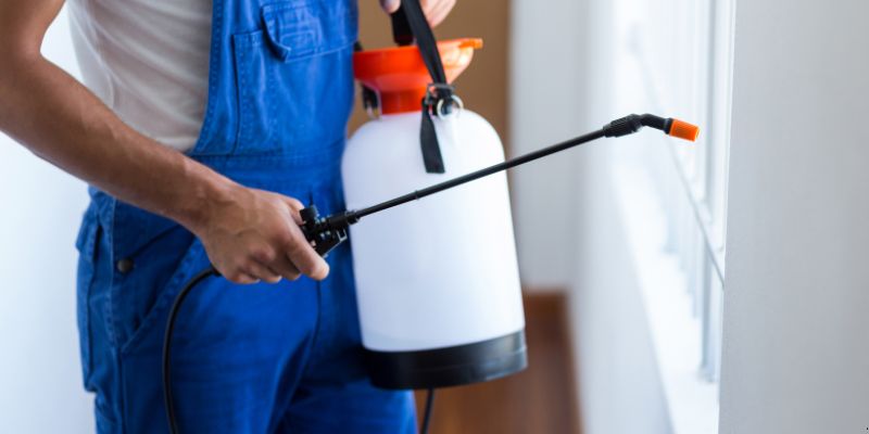 Como Fazer Dedetização em Casa em Teresina: 4 Dicas Simples Como fazer dedetização em casa em Teresina