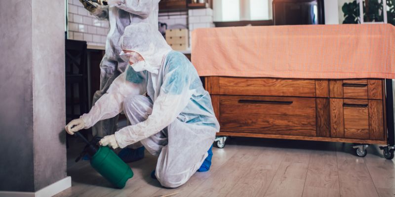 Dedetização em Apartamento Como Funciona em Teresina: Confira 4 Passos Dedetização em Apartamento Como Funciona em Teresina: Confira 4 Passos
